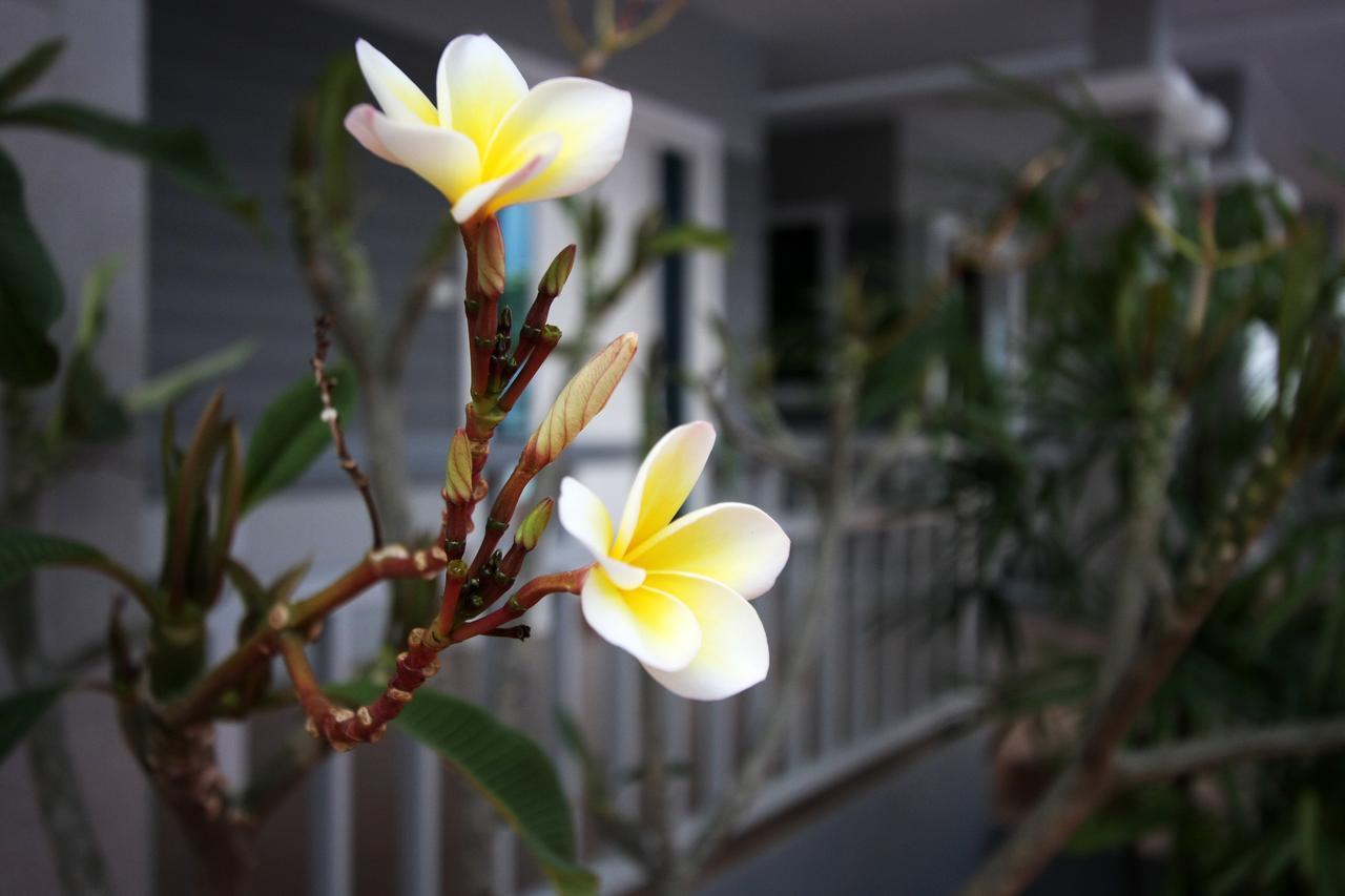 Rongsang Resort Nong Khae Eksteriør billede